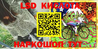 ECSTASY Гусев