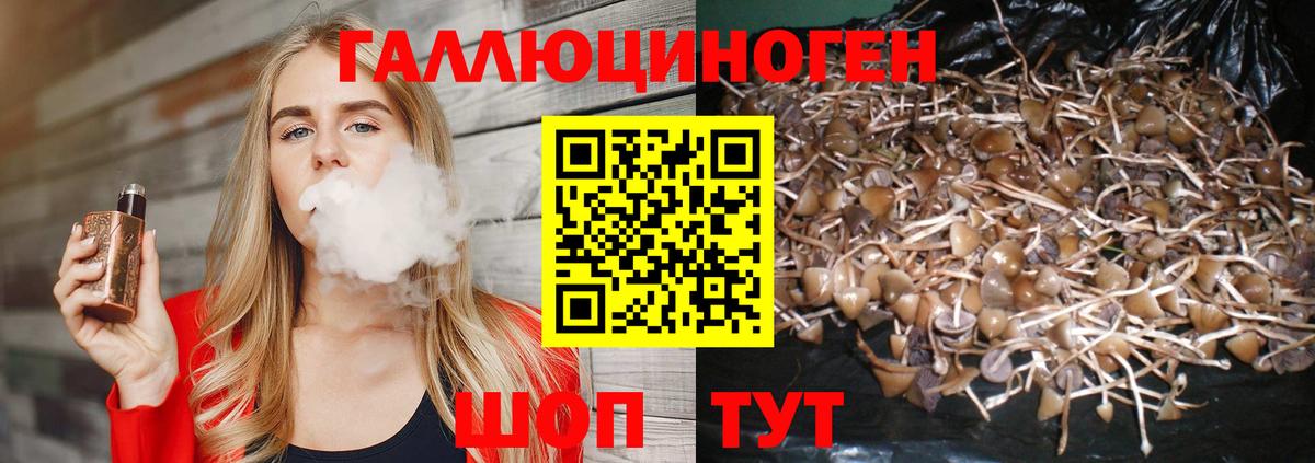 Мичуринск  магазин    Вход с VPN  Псилоцибиновые грибы прущие грибы 