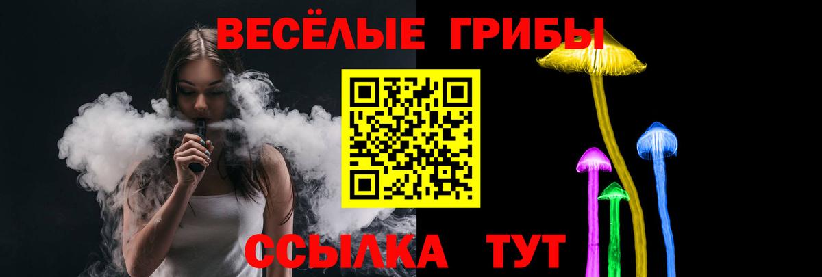Псилоцибиновые грибы мицелий Мичуринск